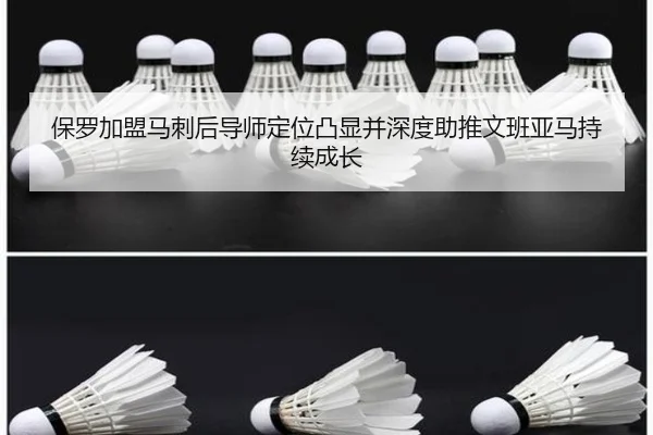 保罗加盟马刺后导师定位凸显并深度助推文班亚马持续成长